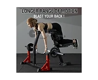 Mikolo Seal Row Bench, Back Machine Back Extension Bench, with Stationary Bench Combo, Upper Body Workout Equipment for Reverse Hyper and Lateral Rais