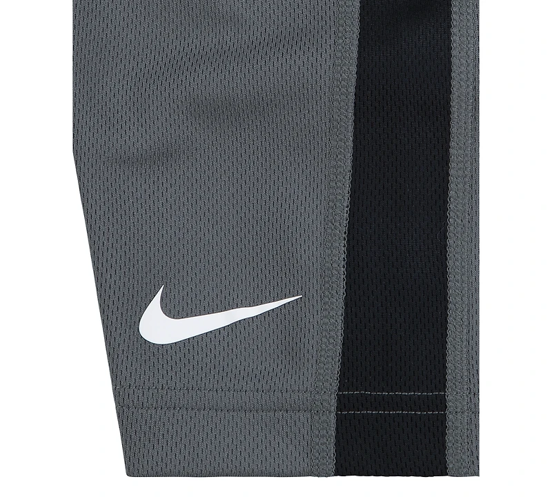 Nike Toddler Boys Dri-fit Swoosh T-Shirt & Shorts Set