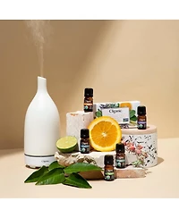 Organic Aromatherapy Set (Top Essential Oils