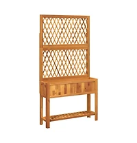Planter with Trellis and Shelf 39.4"x12.6"x72.8" Solid Wood Acacia