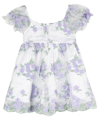 Rare Editions Baby Girls Floral Embroidered Mesh Social Dress