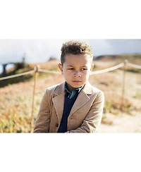 Hope & Henry Baby Boys V-Neck Cable Sweater Vest