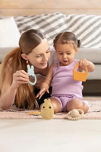 Sperric Toddler Easter Teether Set, Bunny, Carrot, Chicken, Rattle Egg & Basket Teething Toys Cute Teethers Gift Set