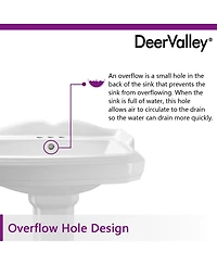DeerValley 35.5" Tall Rectangular Vitreous China Pedestal Bathroom Sink with Overflow