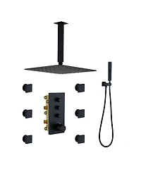 12-Inch Rainfall Shower Head & Thermostatic Control - Perfect for Family Bathing Comfort