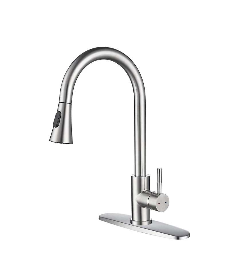 Kitchen Faucet with Pull Out Spraye