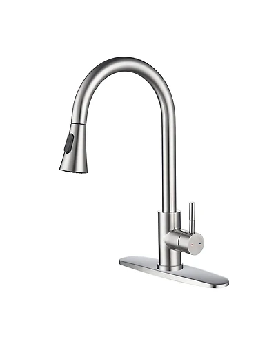 Kitchen Faucet with Pull Out Spraye