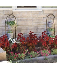 Steel Wire Arched Climbing Plants Wall Trellis with Flowerpot Supports - 48" H - Black - 2-Pack