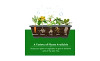 Raised Garden Bed Durable Planter Box for Growing Vegetables, Herbs, and Flowers