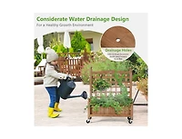 Outdoor Raised Garden Bed Planter Box Cart on Wheels with Trellis for Easy Gardening