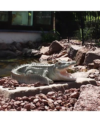 Chloe the Crabby Crocodile Realistic Polystone Garden Statue Decor for Indoor or Outdoor Use - 18"