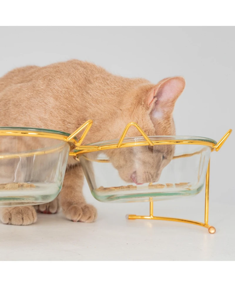Elevated Glass Cat Bowl Stand Set