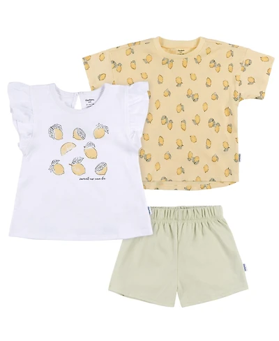 Gerber Baby Girls Coordinating Shirts and Short Set
