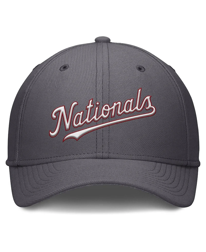 Nike Men's Gray Washington Nationals Swoosh Performance Flex Hat
