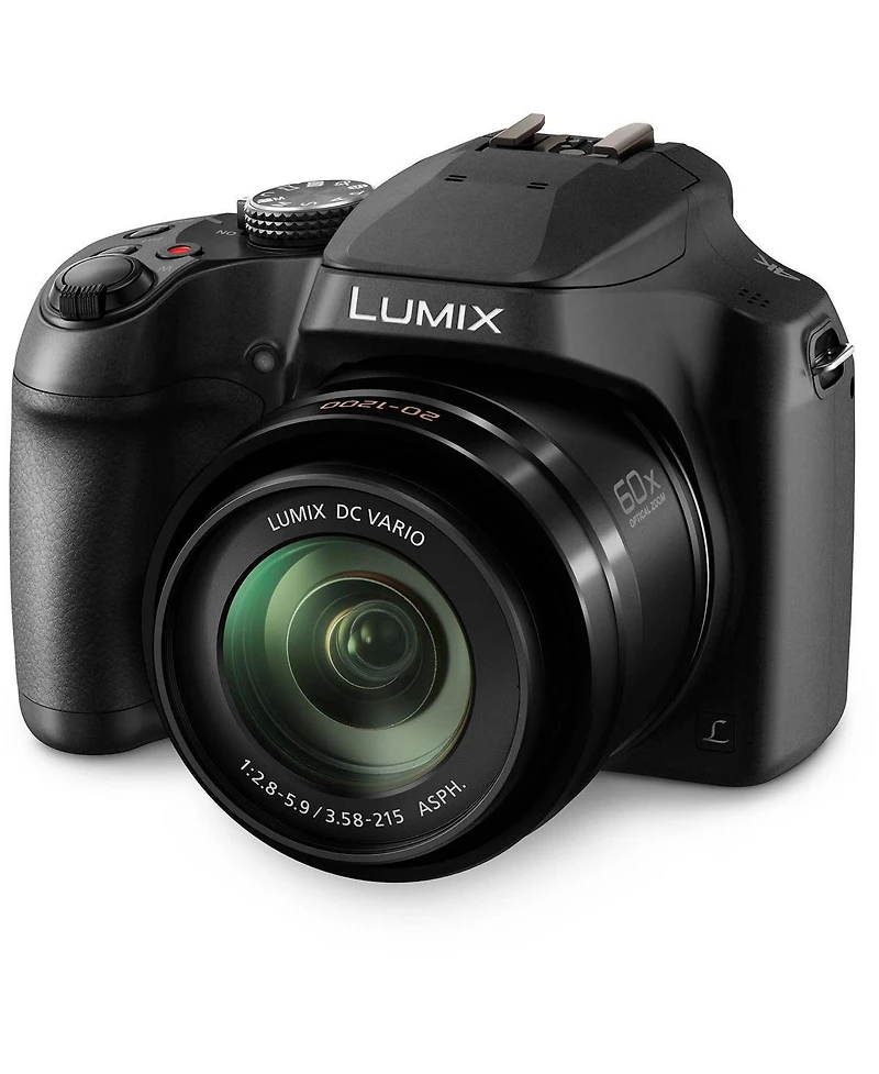 Panasonic Lumix FZ80D Point & Shoot Digital Camera, Bundle with 64GB Sd Card, Bag, Extra Battery, Flexible Tripod, Mini Led Light, Filter Kit,