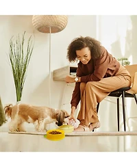 P.t. Supply Co. Yellow Small Pineapple-Shaped Silicone Pet Bowl with Non-Slip Suction Base