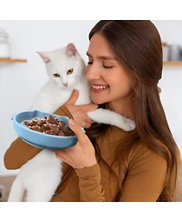 P.t. Supply Co. Cat Shaped Silicone Pet Bowl with Non-Slip Suction Base