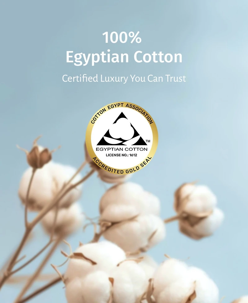 Luxury 100% Egyptian Cotton Standard Pillow Cases Set of 2 - Classic Percale, Soft & Breathable, Fits Queen Pillows