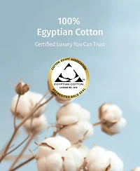 Luxury 100% Egyptian Cotton Standard Pillow Cases Set of 2 - Classic Percale, Soft & Breathable, Fits Queen Pillows