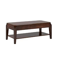 Modern Lift-Top Coffee Table with Storage Shelf and Hidden Compartment