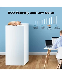 Zafro Upright Freezer, 6.0 Cu.ft Deep Freezer with Reversible Single Door,Removable Shelves, Small Stand Up Freezer with Adjustable Thermostat for Hom