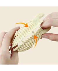 Science Can Stem Mesozoic Era Super Dinosaur Fossil Dig Kit for Children 6+