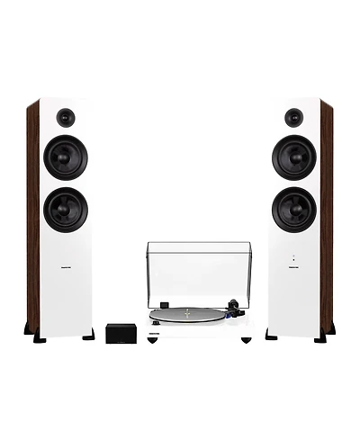 Fluance RT85 Reference High Fidelity Vinyl Turntable, PA10 Phono Preamp and Ai81 Powered Floorstanding Speakers, Ortofon 2M Blue Cartridge, 150W Class