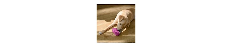 Hedgehog with tennis ball Dog Toy