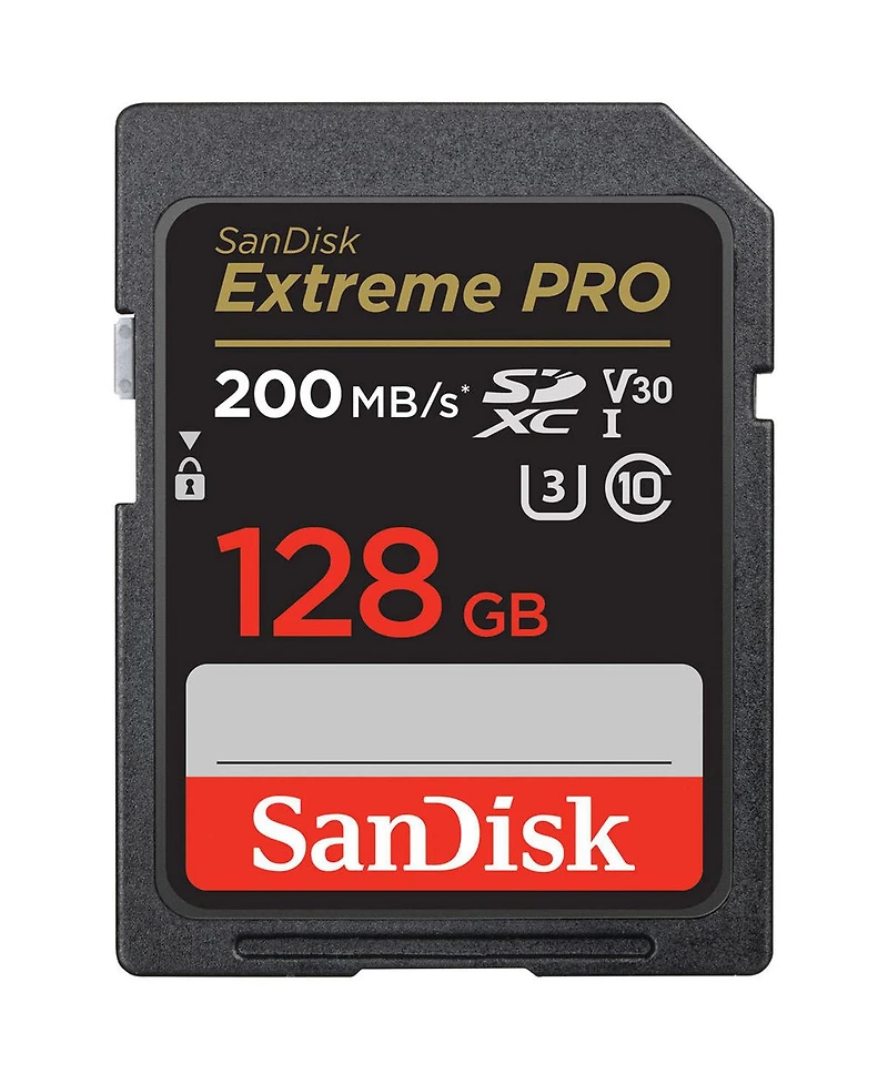 Panasonic Lumix GH5II Mirrorless Camera with Leica 12-60mm f/2.8-4.0 Lens Bundle with 128GB Sd Card, Bag, Extra Battery, Charger, Wrist Strap, Filter