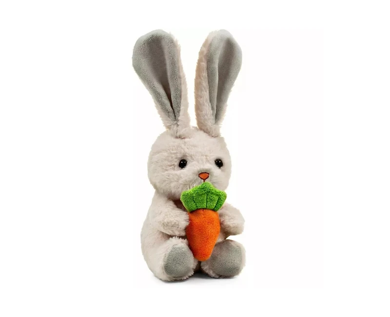 Sperric Toddler Easter Plush and Teether Playset - Squeaky Bunny, Chicken, Egg, Toys Silicone Teethers Perfect Gift for Newborns