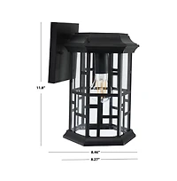 Carwen 8.46" Outdoor Sconce
