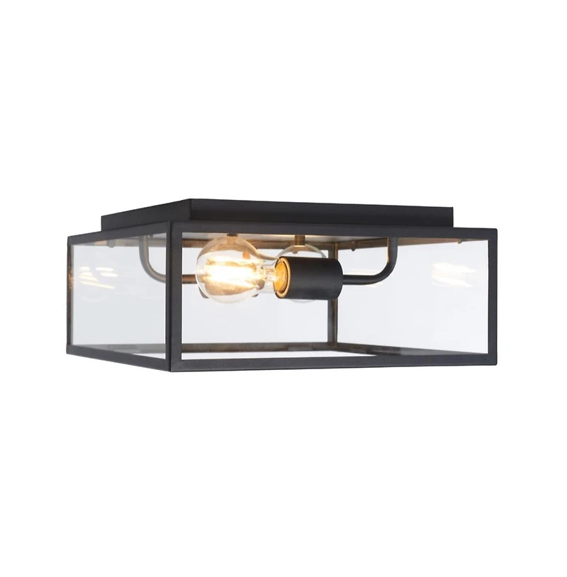 Rinnah 12" Outdoor Flush Mount