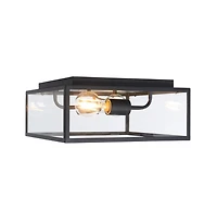 Rinnah 12" Outdoor Flush Mount