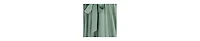 Cupshe Women's Wisteria Grove Green Jumpsuit