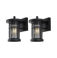 Osprey 7.5" Outdoor Sconce