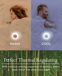 Silky Soft 100% Rayon from Bamboo Cases King Size, Set Of 2 For Smooth Hair & Skin, Fits King Pillows by California Design Den