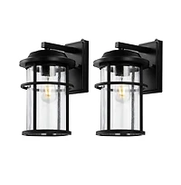 Cianna 9.5" Outdoor Sconce