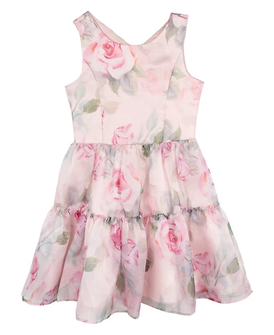 Rare Editions Big Girls Floral Organza Party Dress