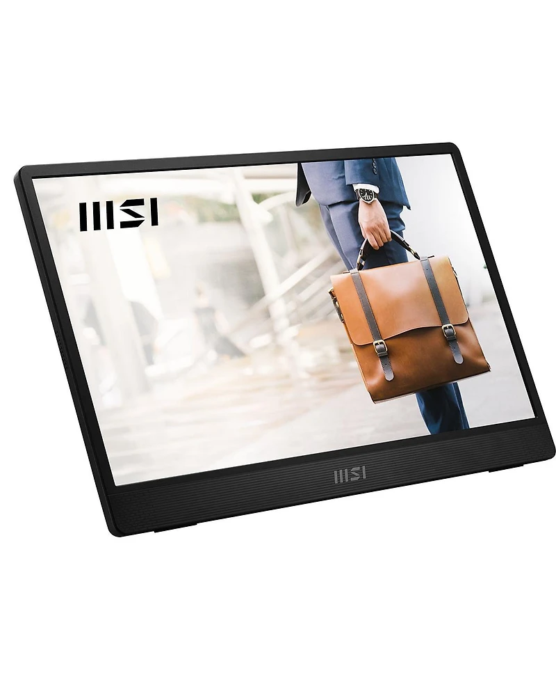 Msi Pro MP161 E2 15.6" 16:9 Full Hd Portable Ips Led Monitor, Metal Gray
