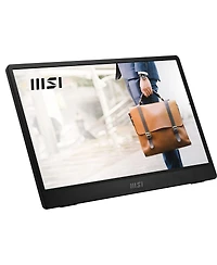 Msi Pro MP161 E2 15.6" 16:9 Full Hd Portable Ips Led Monitor, Metal Gray