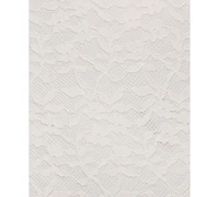 Alex & Sophia Juniors' V-Neck Sleeveless A-Line Mini Lace Dress