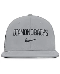 Nike Men's Gray Arizona Diamondbacks True Performance Fitted Hat