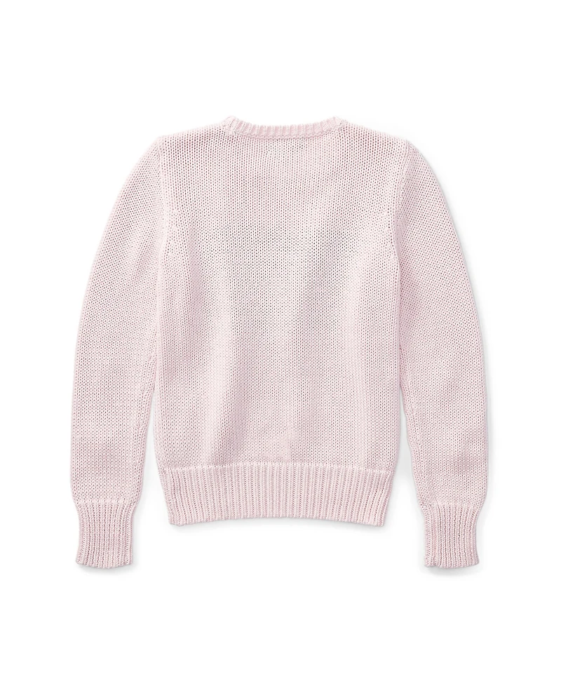 Polo Ralph Lauren Big Girls Flag Crewneck Sweater