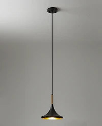 Nova of California 10" Metal Lodi Small Pendant Lamp