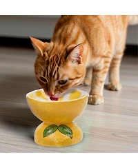 P.t. Supply Co. Lemon Shaped Stoneware Elevated Pet Bowl, Raised Ceramic Food & Water Dish for Dogs and Cats