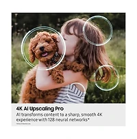43" Class QN90F Series Neo Qled 4K Vision Ai Mini Led Smart Tv - QN43QN90FAFXZA