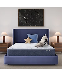 Serta Dream Haven 10" Medium Tight Top Mattress in a Box