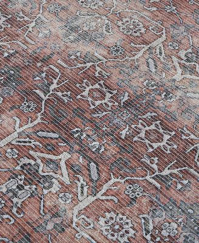 Amer Rugs Alaska Machine Washable Ala4 Rug Collection