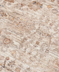 Amer Rugs Albany ALB3 5' x 7'6'' Area Rug