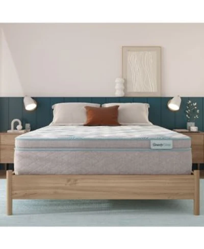 Beautysleep Bashful Lullaby 14.25 Medium Pillow Top Mattress Collection